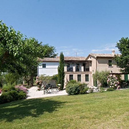 Vigna Sant' Amico Country House Morro dʼAlba エクステリア 写真