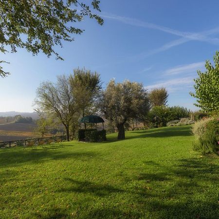 Vigna Sant' Amico Country House Morro dʼAlba エクステリア 写真