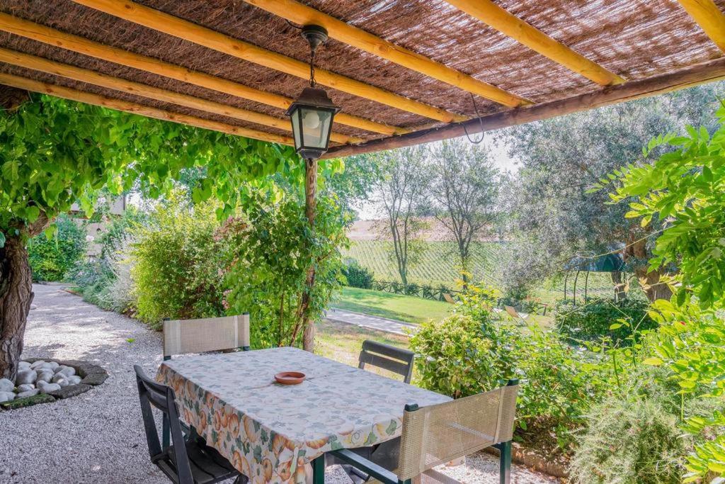 Vigna Sant' Amico Country House Morro dʼAlba エクステリア 写真