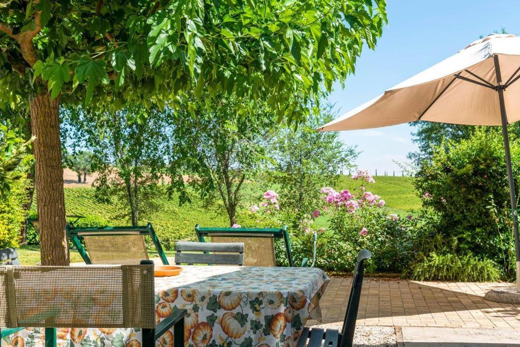 Vigna Sant' Amico Country House Morro dʼAlba エクステリア 写真