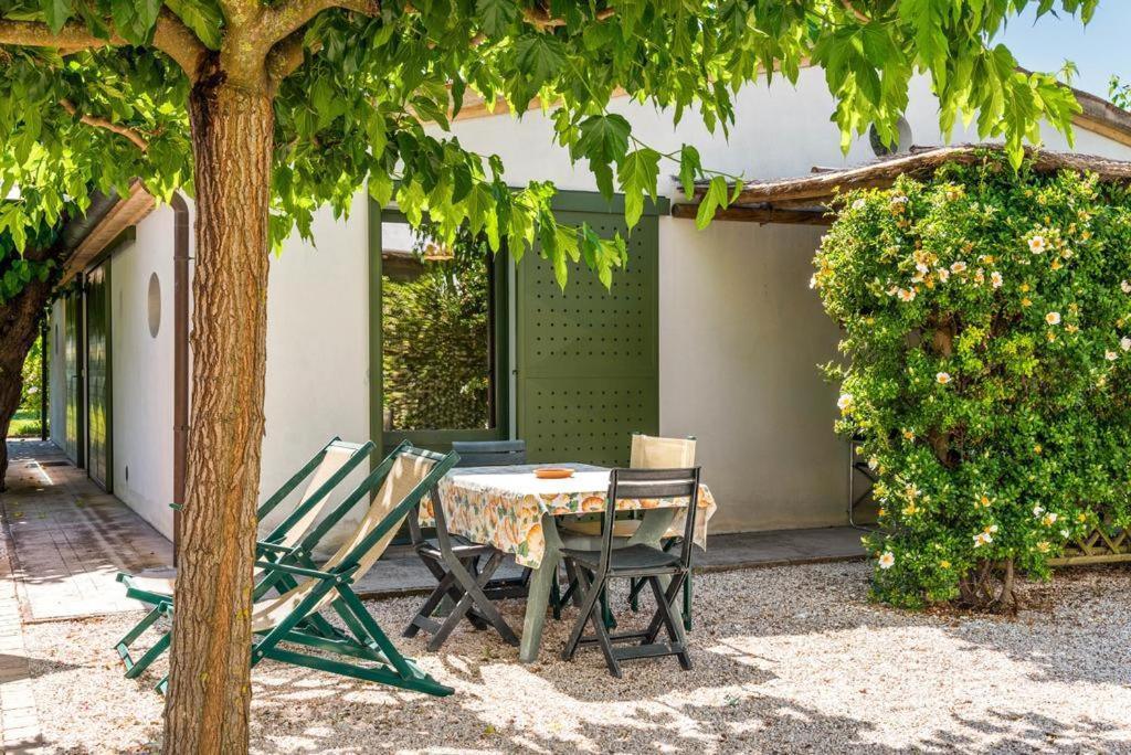 Vigna Sant' Amico Country House Morro dʼAlba エクステリア 写真