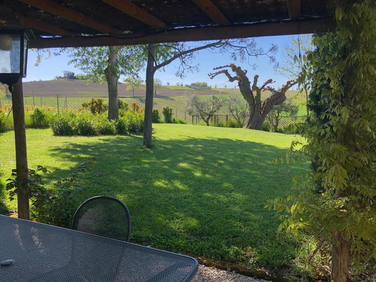 Vigna Sant' Amico Country House Morro dʼAlba エクステリア 写真