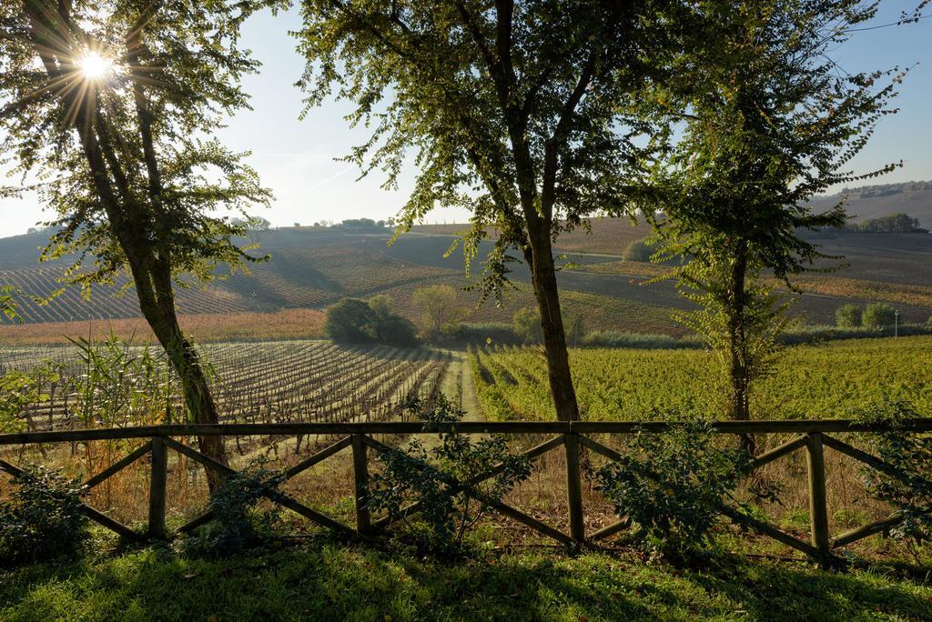 Vigna Sant' Amico Country House Morro dʼAlba エクステリア 写真
