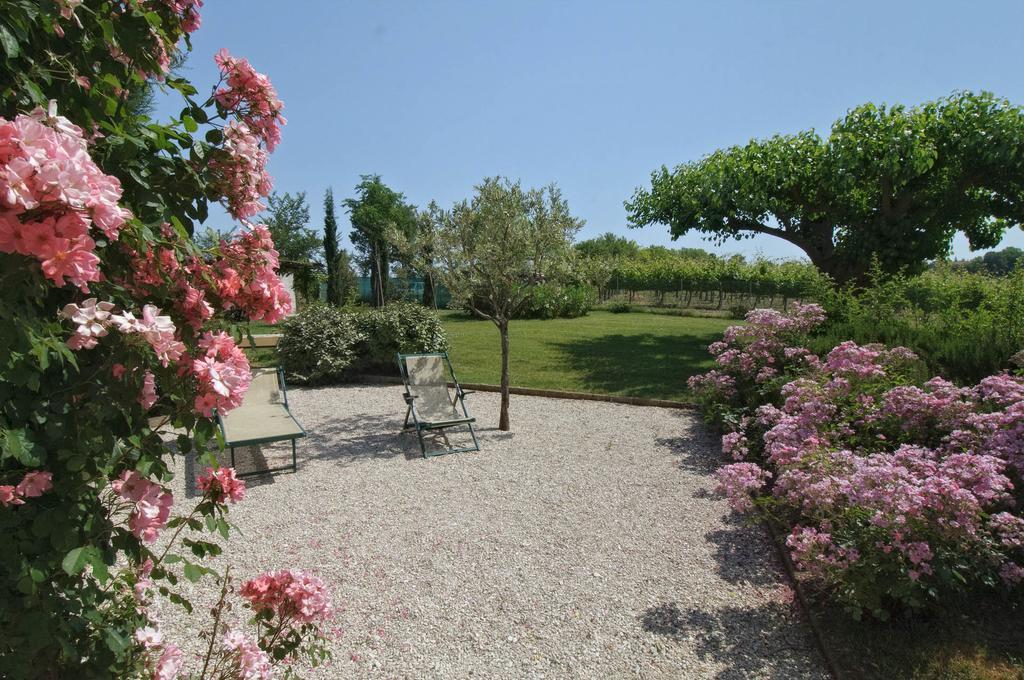 Vigna Sant' Amico Country House Morro dʼAlba エクステリア 写真