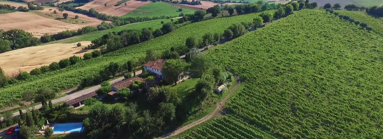 Vigna Sant' Amico Country House Morro dʼAlba エクステリア 写真